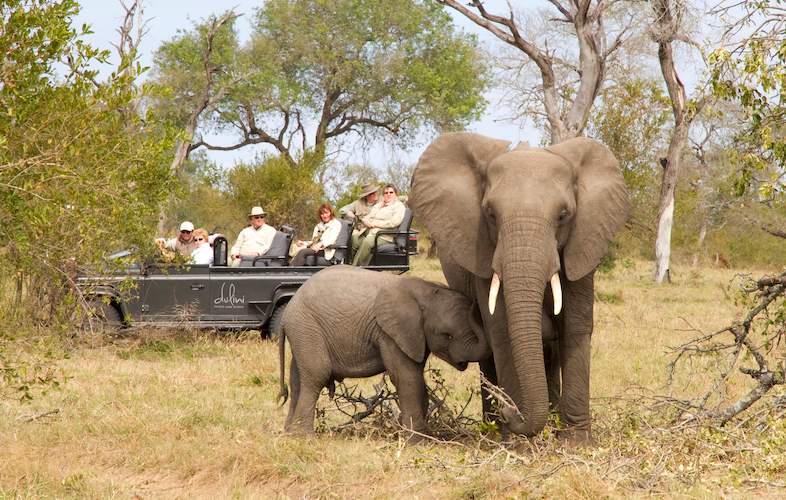 Images of Dulini Moya - Dulini Private Game Reserve